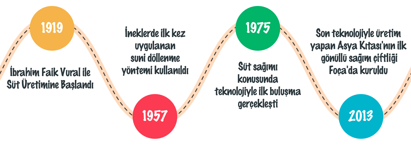 emre-vural-timeline